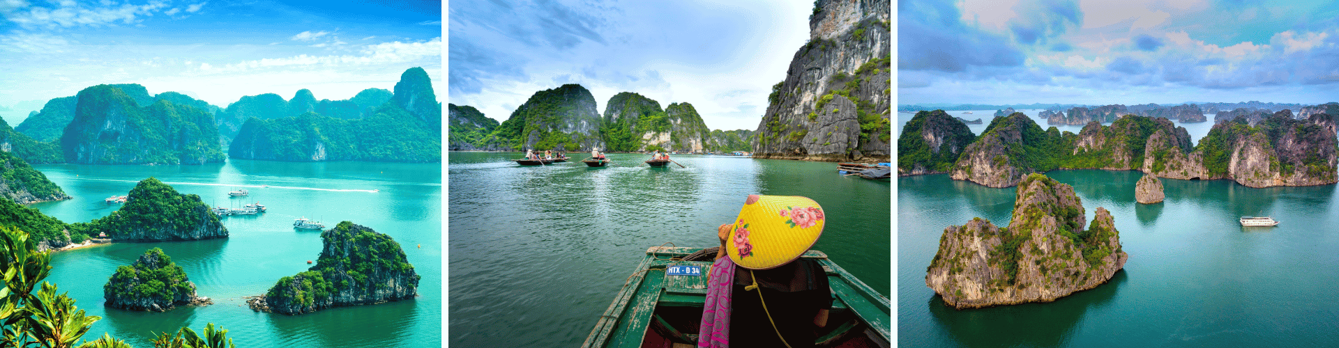 NWS - Day 8 NWS Day 8 WOLO Travel